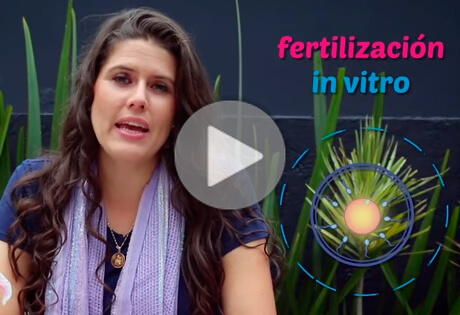 México; Rosario Laris, fertilización in vitro