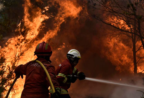 Incendios provocados