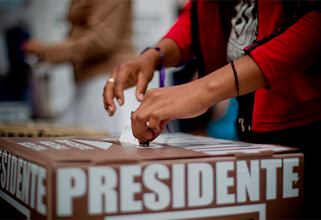 Elecciones y campañas