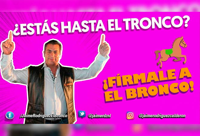 Perfil El Bronco 