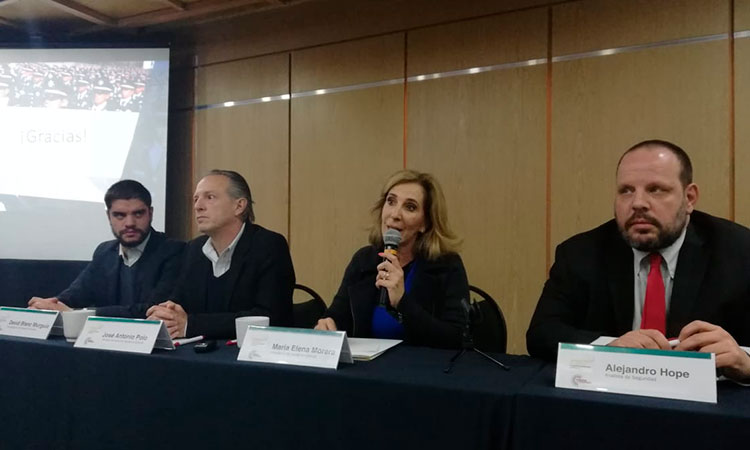 Seguridad Pública en México