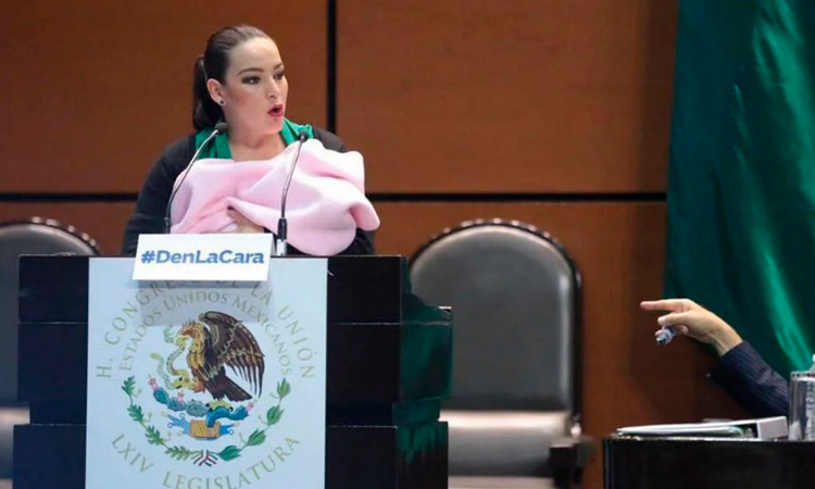Senadora es reconvenida por subir a tribuna con su bebé