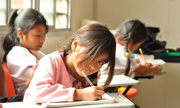 Educación población indígena