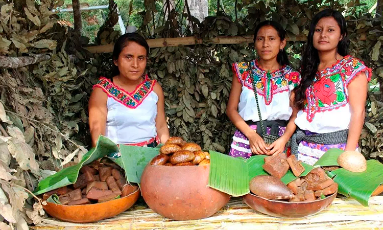 Semana cultural de la lenguas indígenas