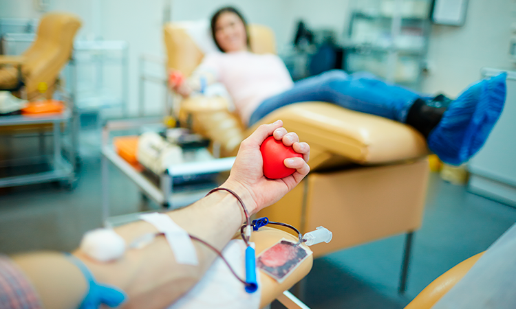 Urge aumentar la cultura de la donación sanguínea