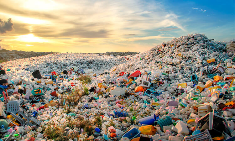 Consecuencias de los plásticos