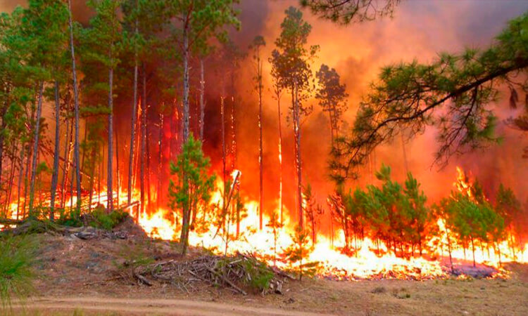 Incendios en México