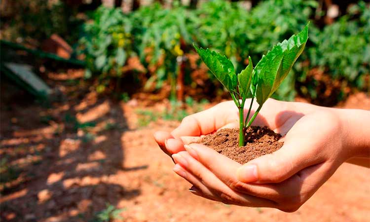 México y la ecoteología