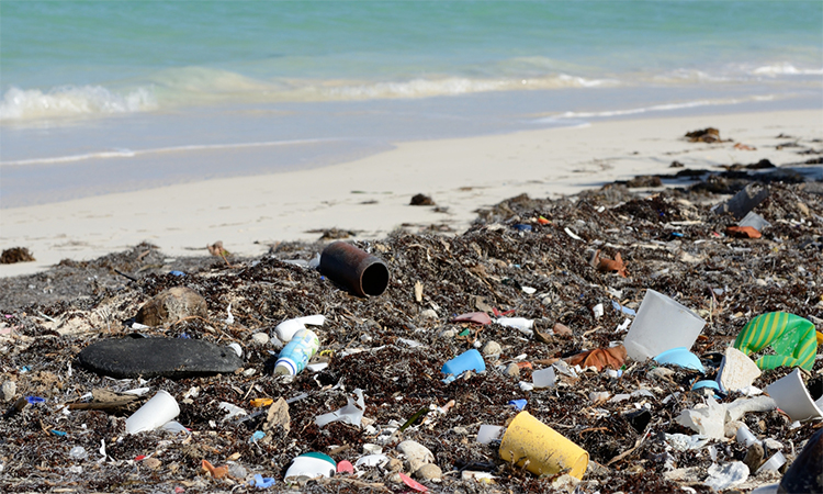 Botellas de plástico en la playa
