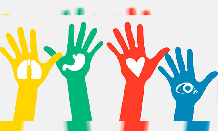 Día Mundial de los Trasplantados