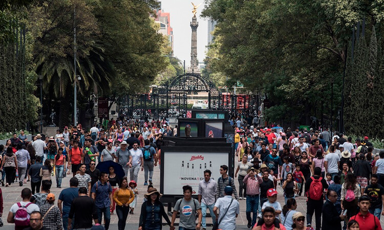 Bosque de Chapultepec