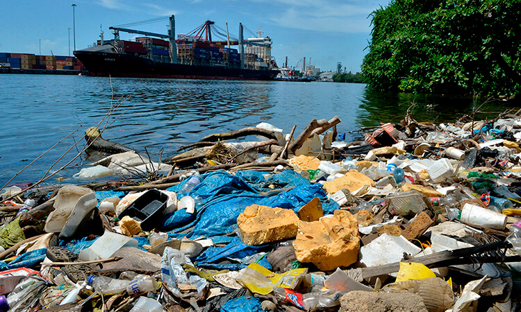 Prohicición de plástico