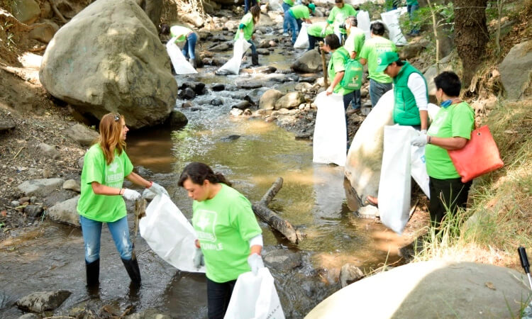 Cómo comenzar un servicio de limpieza más verde & Salve el planeta