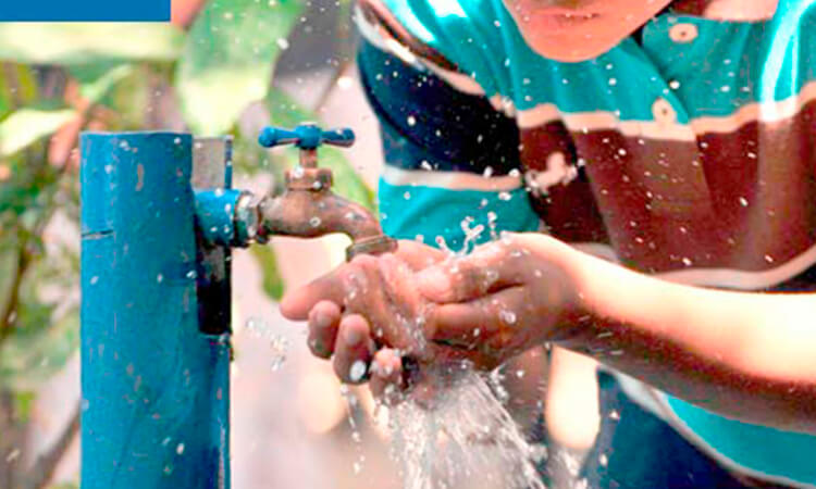 Mordidas agua