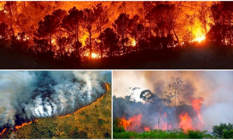 Incendio en el Amazonas