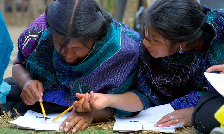 Hombres y mujeres indígenas leyendo/Adultos mayores estudiando