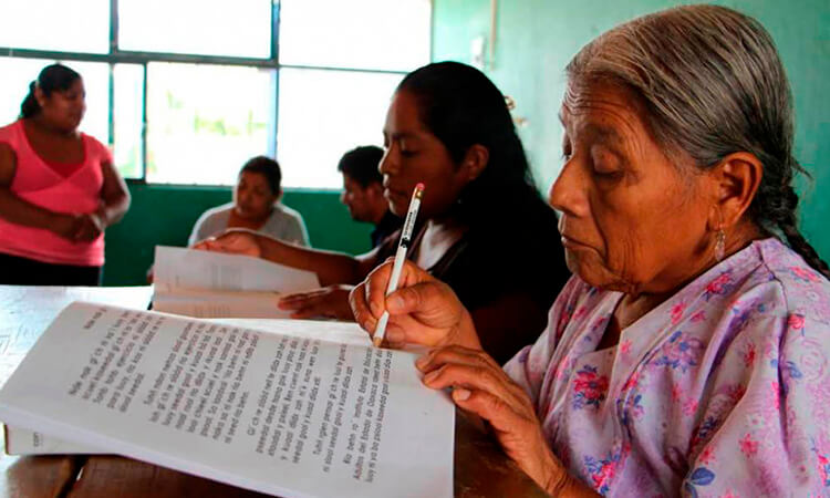 Personas débiles visuales estudiando con el sistema braille/Viejitos estudiando