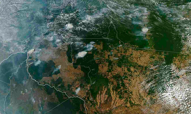 Acciones por la Amazonía