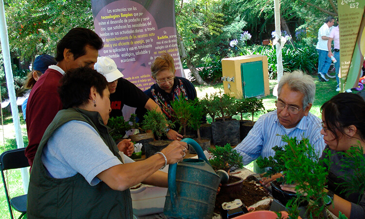 Talleres ambientales y naturales