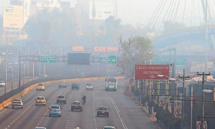 Importancia del medio ambiente