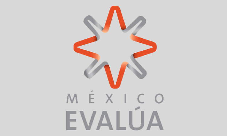 Opacidad en programas