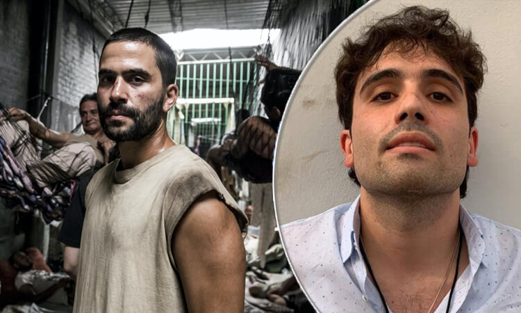 Enamoradas de Ovidio Guzmán