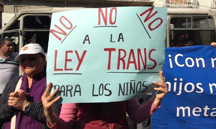 Ley trans