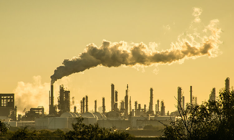 Mitos sobre el medio ambiente