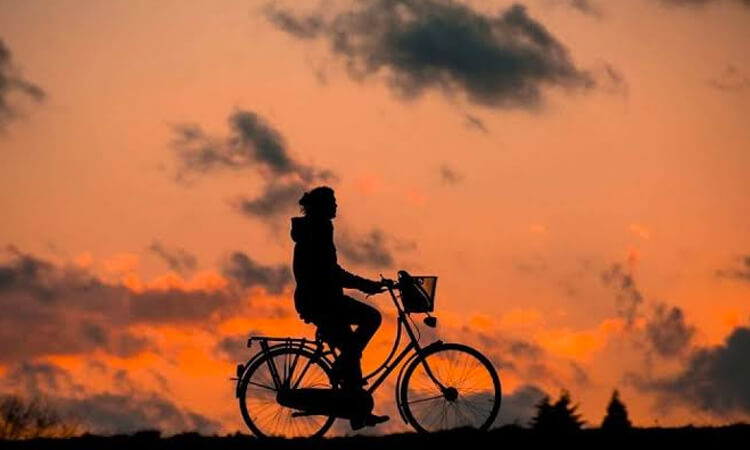 Denunciar y recomenzar