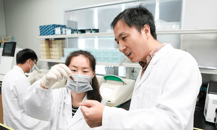 Modificación genética