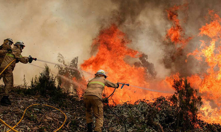 Incendios en México 