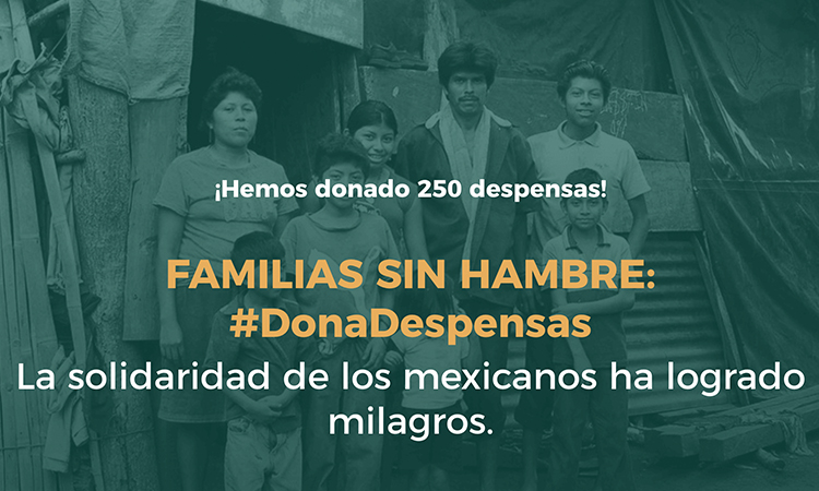 Campaña Dona Despensas