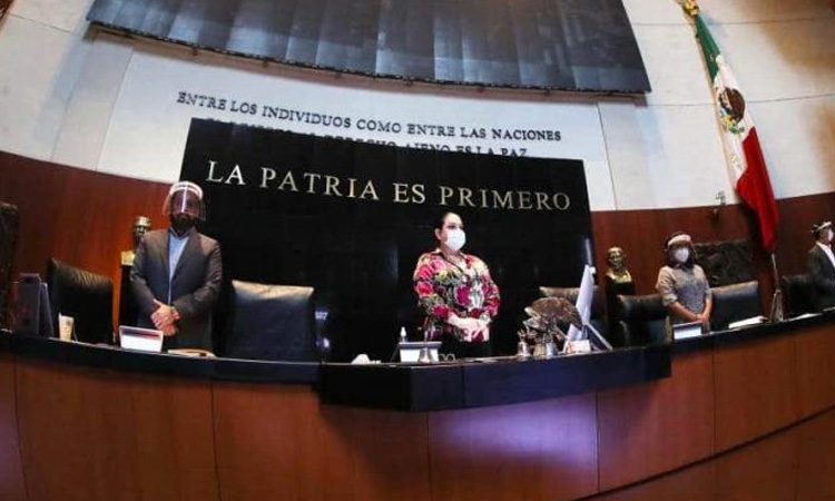 PRD y PES sin bancada