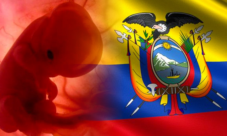 Aborto, impulsado por la ONU