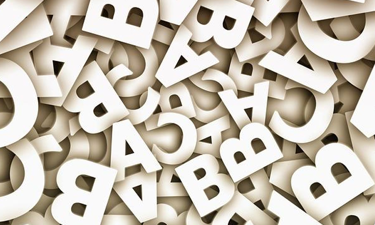 Rebatinga en el gobierno