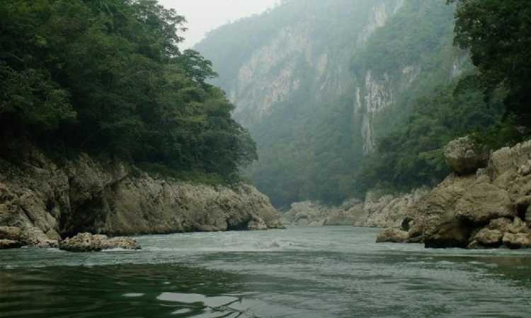 Imagen del Usumacinta