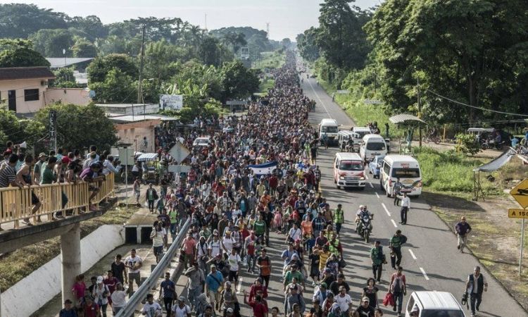 migración