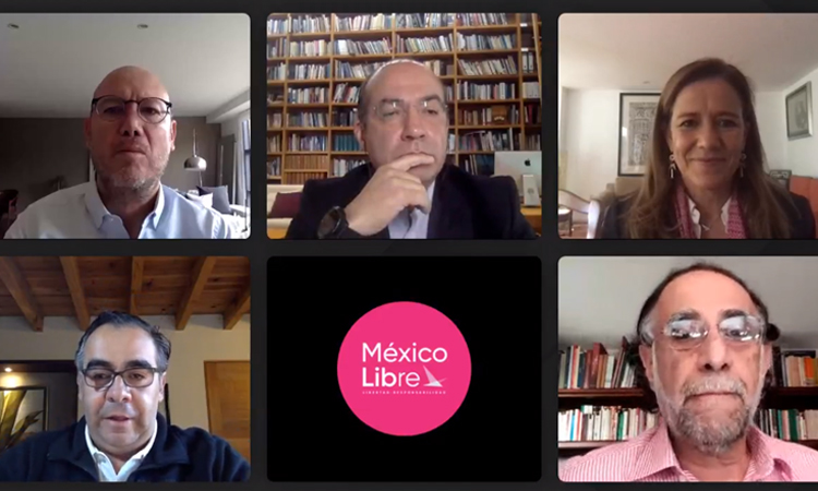 Presentación de alegatos