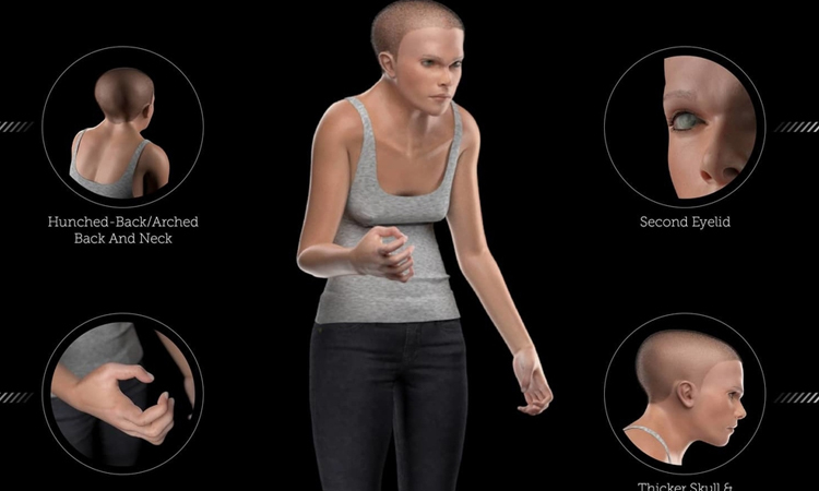 Desintoxicación digital