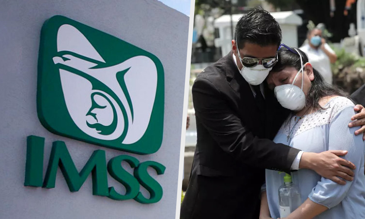 IMSS apoyo económico