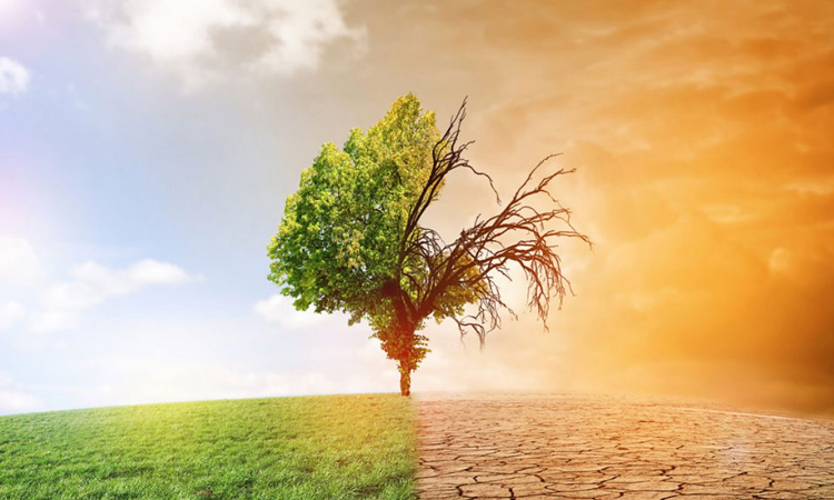 Cambio climático