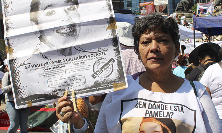 Pamela Gallardo Volante