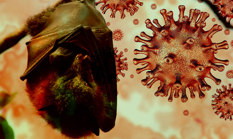 Covid no fue creado en laboratorio