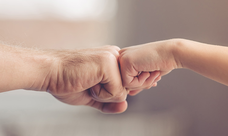 Actualización del censo