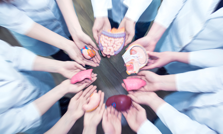 Trasplante de organos en México